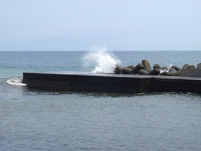 P5290256