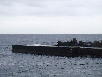 P4230245