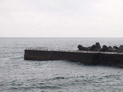 P2060226