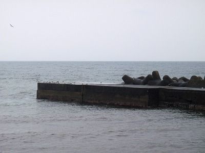 P4260251