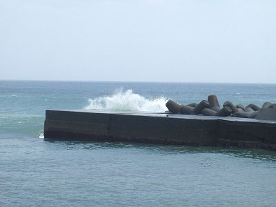 P7170119
