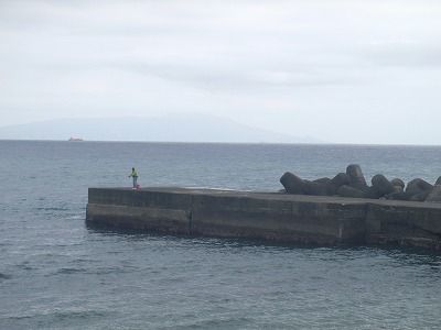 P4080154