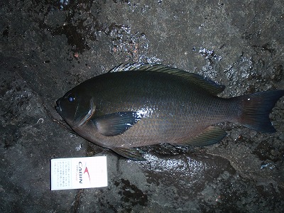 P3160253