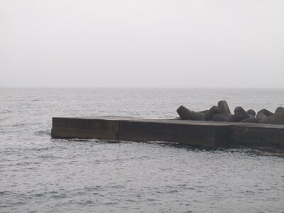 P6010231