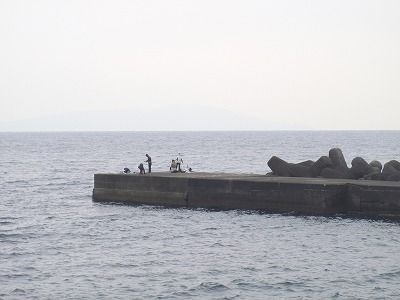P3140114