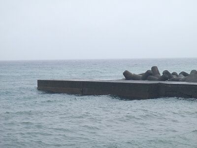 P9120231