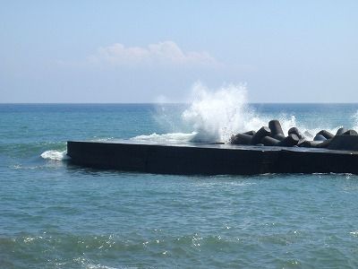 P9190121