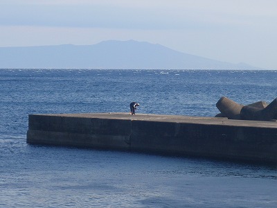 P1250055