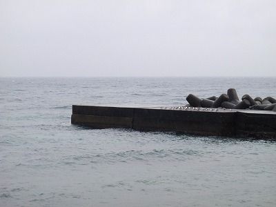P3090251