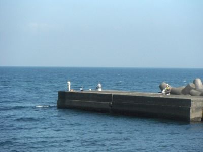 DSCF3841