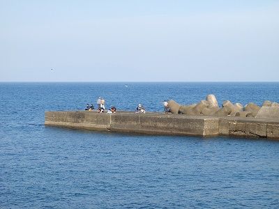 P6010224