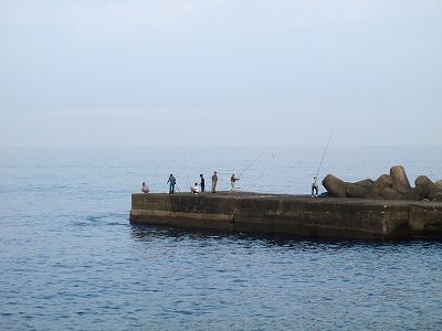 P6090110