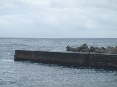 P8280225
