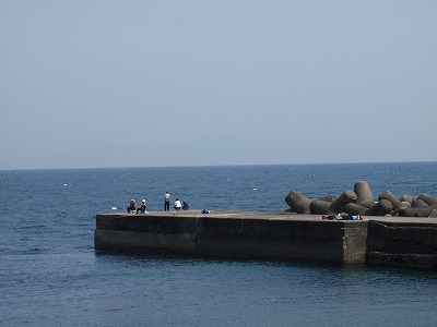 P5010299