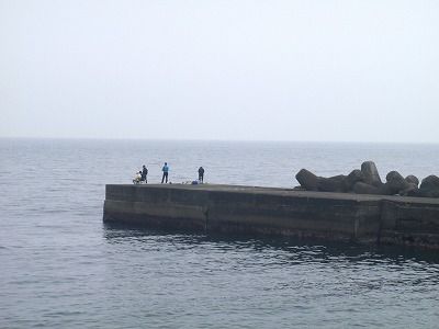 P4230208