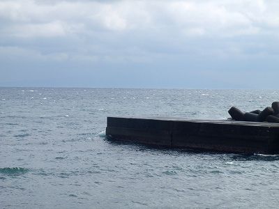 P3030102