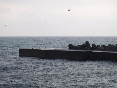 PB250113
