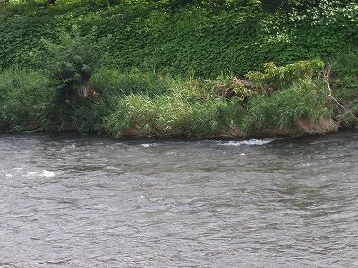 P7080004
