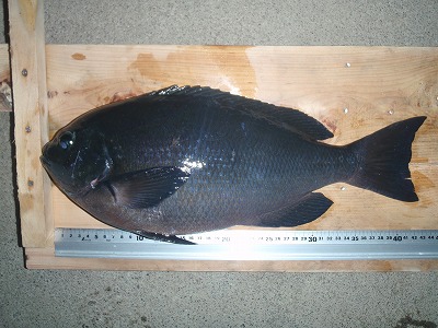 P1110047