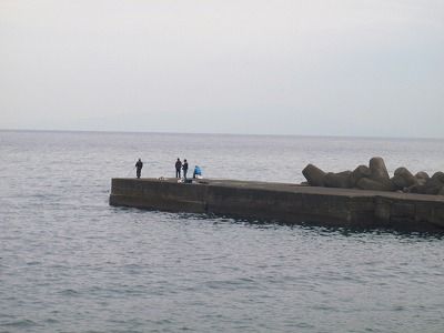 PB300184