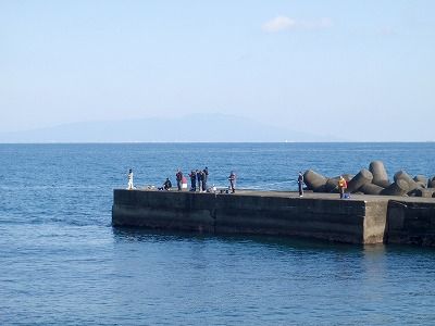 P3050078