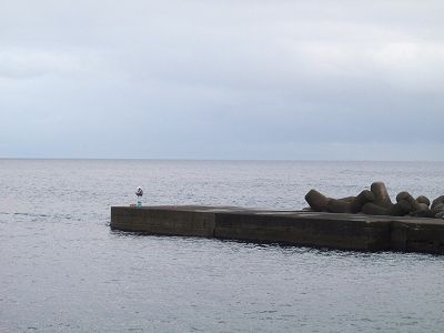 PC040209