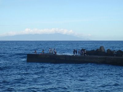 P8030255