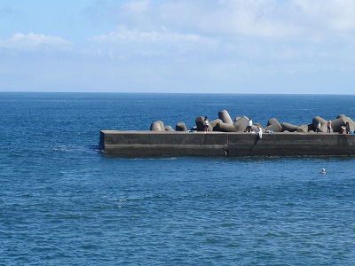 P8030022