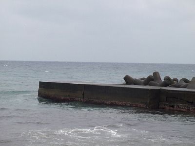 P4010183