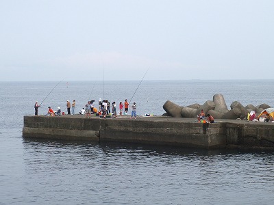 P8130021