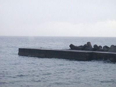 P7220150