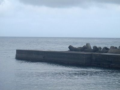 P7040207