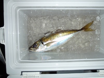 P7110321