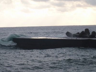 P2150169