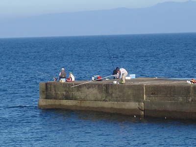 P8280005