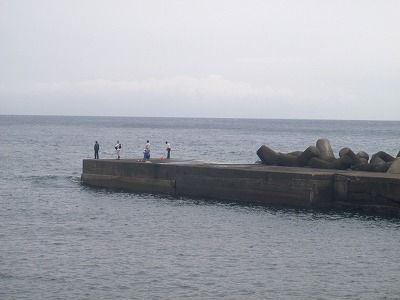 P6210206