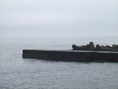 P6190254