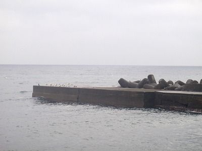 P1120147