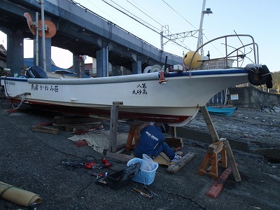P3100246