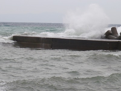 P9190036