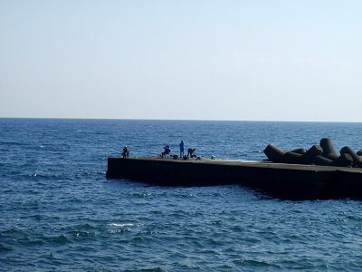 PA220261
