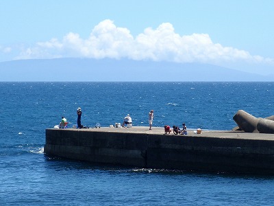 P8050021