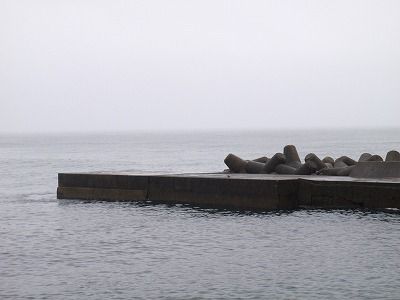 P5150251