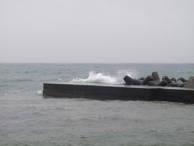 P3050102