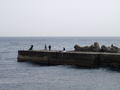 P5030245