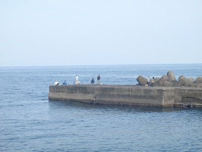 P5150149