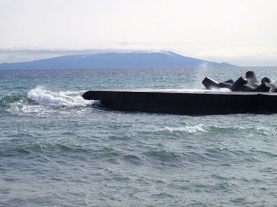 P3010253
