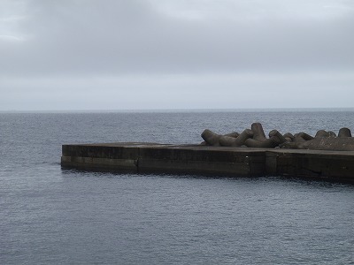 P7060319