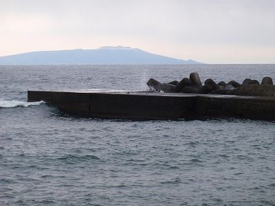 P1300253