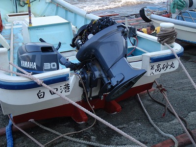 P3100245
